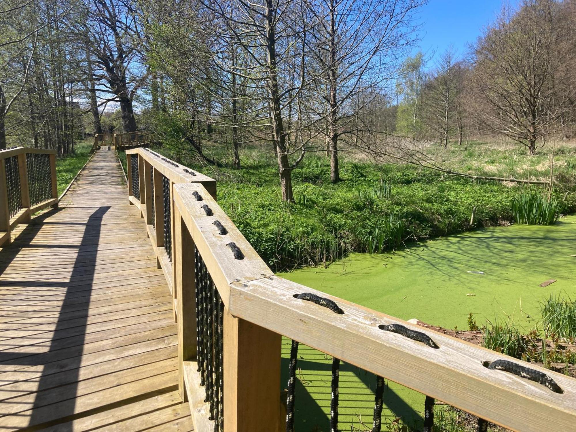 Lodge Radison With A Garden- 800m To The Sea Z Ogrodkiem Radison 800m Do Plazy Mielno (Koszalin)